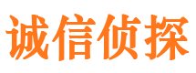 仪征外遇调查取证